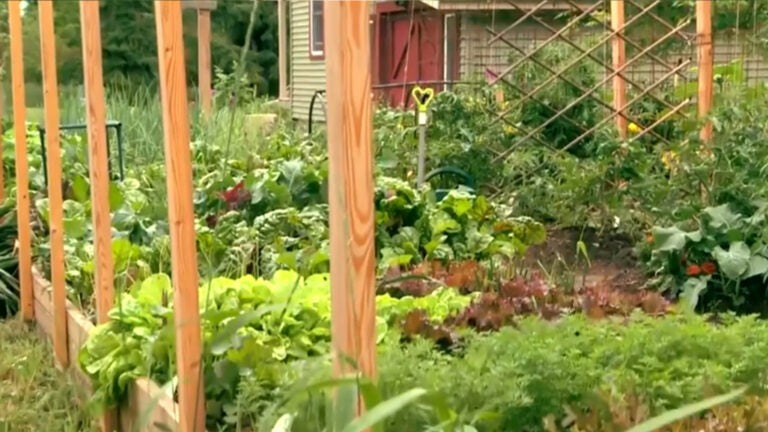 Gardening