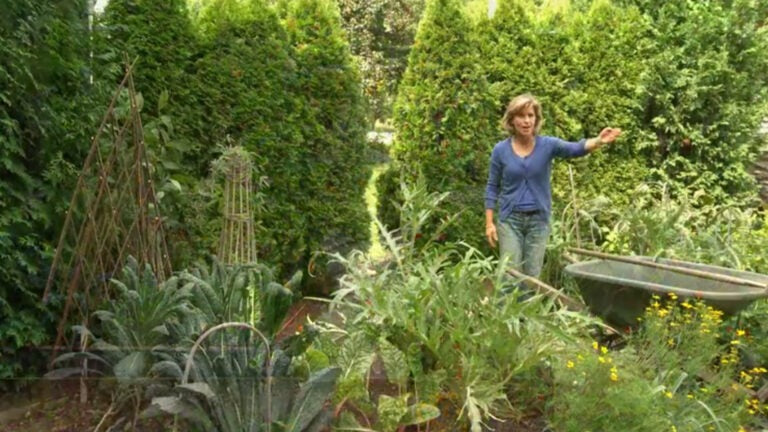 Gardening