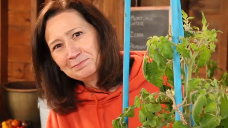 Gardening